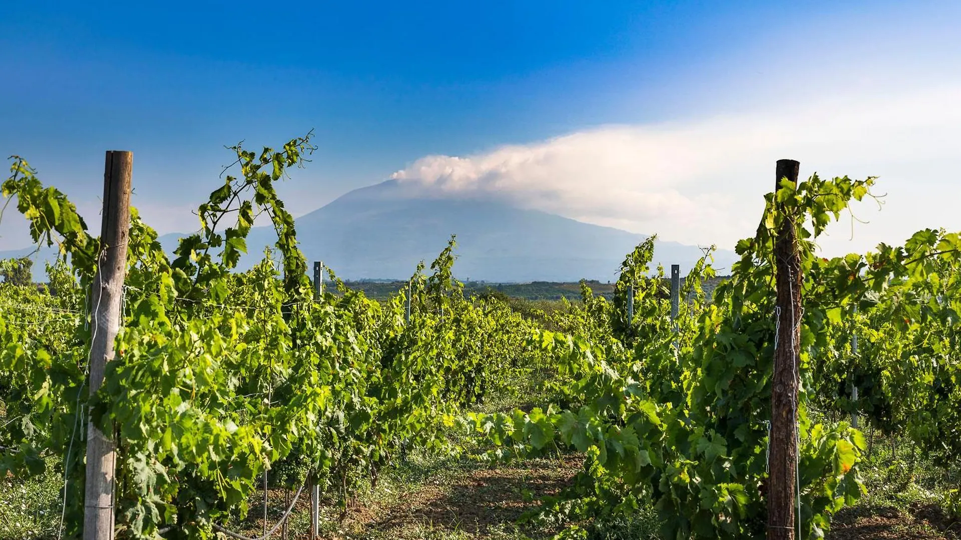 Hotel Neroli Bio Relais La Rotondella 4*,  Italien
